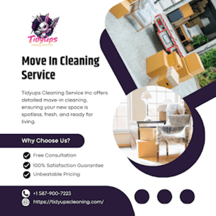 Tidyups Cleaning Service Inc